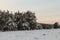 Winter in the snowy Carpathian forest.