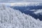 Winter snowy Caucasus mountain forest and peaks, Beautiful scenic landscape, Krasnaya Polyana, Sochi, Russia
