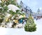 Winter snowy city Christmas tree branch Snowy   festive city marketplace fluffy snowflakes Tallinn old town