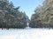 Winter snowy forest road