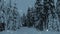 Winter snowy forest with snow covered trees, falling snow and stars. Christmas, new year slow motion animation, HD 1080.