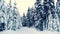 Winter snowy forest with snow covered trees, falling snow and stars. Vintage Christmas, new year slow motion animation, HD 1080.