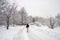 Winter snowy landscape in Montreal