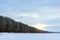 Winter snowy pine forest Narva Bay. Narva-Joesuu