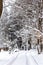 Winter snowy road. Vertical