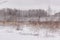 Winter spaces in Babolovsky Park. Background forest in winter