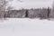 Winter spaces in Babolovsky Park. Background forest in winter