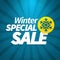 Winter special sale poster