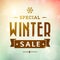 Winter special sale vintage typography poster