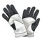 Winter sports glove pair in leather material