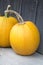 Winter squash, creeping plant, round, oblate, oval shape cucurbita pepo styriaca