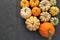 Winter squash and pumpkins collection
