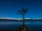 Winter stars at Lone Tree at Loch Lomond