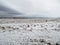 Winter steppe landscape.