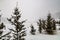 Winter storm batters a field. Rockyview County,Alberta,Canada