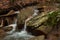 A Winter Stream in Georgia