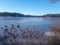 A winter sunny day at the frozen lake. Peaceful and cold.