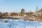 Winter sunny day. Snow field and forest with big pine trees. Little snow, dry grass, trunks on hill on bright blue sky natural