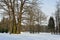 Winter sunny landscape in Pavlovsk garden.