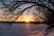 Winter Sunrise on Muskrat Lake
