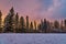 Winter Sunrise Over A Treelined Park