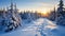Winter Sunrise in Snowy Forest
