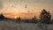 Winter sunrise time lapse with beautiful snowfall, beautiful winter landscape