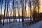 Winter sunset landscape, snow garden tree view