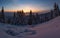 Winter sunset snow field on top of mountain with frosty pine trees on the background of taiga forest and hills under colorful sky.