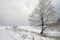 Winter in Table Mountain in Pasterka â€“ Poland