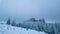 Winter Tapestry: Wide-Angle Landscape of Pietrele Doamnei Rocks, Pine Forest, and Snow Fields