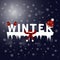 Winter text. Snowflakes night background