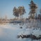 Winter time in forest lake. Evergreen wood and shore in snow.