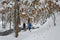 Winter time. The hikers are hikking in winter forest