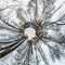 Winter tiny planet in snow covered forest. transformation of spherical panorama 360 degrees. Spherical abstract aerial view in