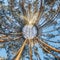 Winter tiny planet in snow covered pinery forest. transformation of spherical panorama 360 degrees. Spherical abstract aerial view