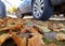 Winter tires in autumn provide safety in wet slippery leaves