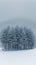 Winter tranquility Snow covered Biei town with minimal pine tree group
