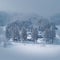 Winter tranquility Snow covered Biei town with minimal pine tree group