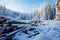 Winter tranquility Snow covered trees and logs create a peaceful landscape