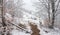 Winter In Transylvania. Romanian Retro House. Rural Landscape With Old Fairy Tale House And Hoarfrosted Trees With Orange Leaf. Mo