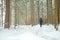 Winter travel and hiking.Man in the natural environment . Traveler in snowy forest.man with a backpack in snowy weather