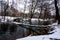 Winter tree fallen across the river