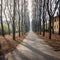 Winter tree-lined avenue, in a Northern Italy city. Color image