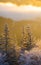 Winter trees in a forest with snow on them during an amazing warm sunrise light at the bottom of the mountains