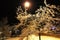 Winter trees in frost on the background of the moon