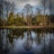 Winter trees reflecting a calm flat lake in Redmond Washington