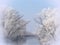 Winter trees and river