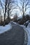 Winter trees, snow covered lane