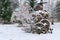 Winter trendy garden decorating with vintage wooden wheels and gabion.